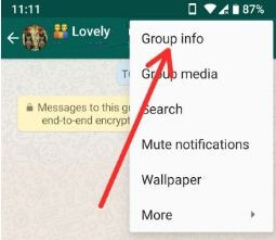 Como usar os novos recursos do Grupo WhatsApp no ​​telefone Android